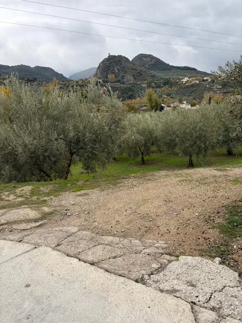 Terreny rústic en venda a Priego de Córdoba, imagen 2