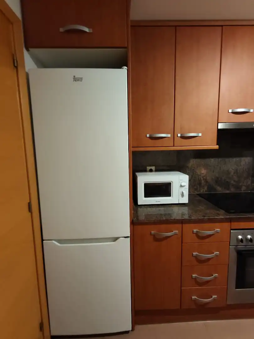 Flat for rent in Carrer Manuel de Falla, Nou Eixample Sud
