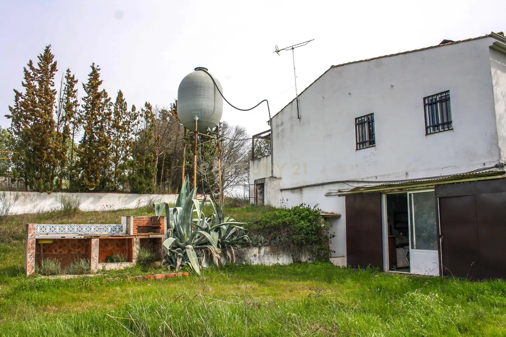 Garden of Land for sale in Azuaga