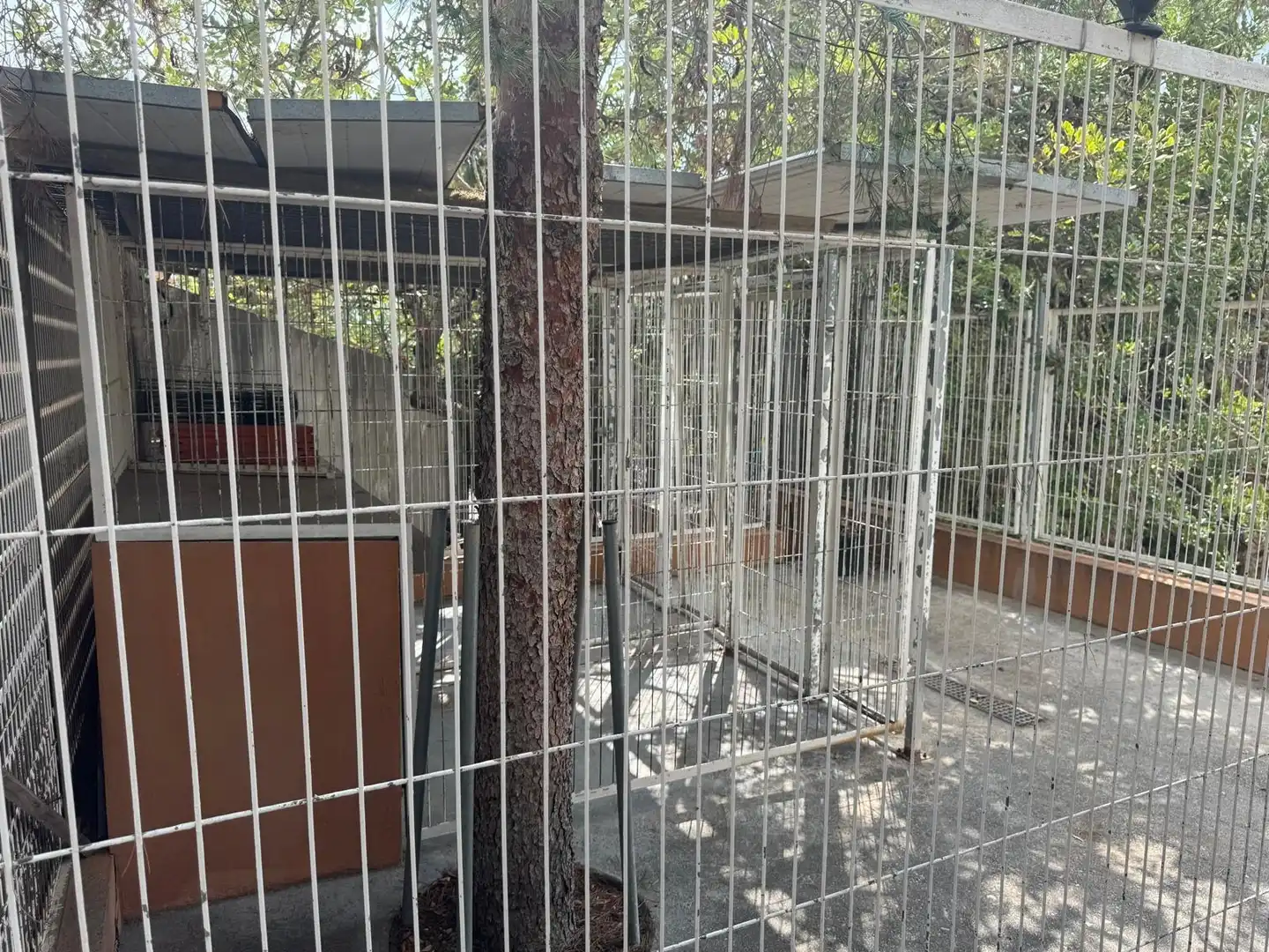 Vista exterior de Casa o xalet en venda en Borriol amb Aire condicionat, Jardí privat i Terrassa