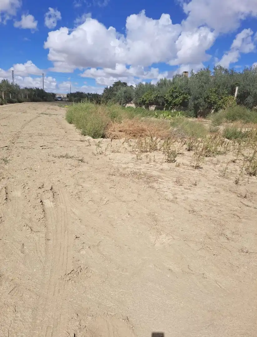 Rustikales Grundstück zum Verkauf in Guadix, imagen 6