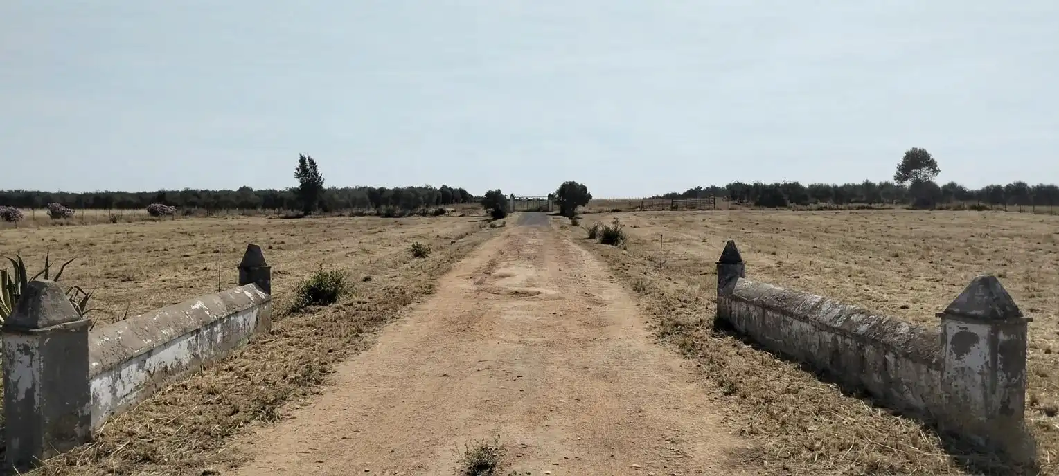 Terreni e lotti in vendita a La Hacienda - Nueva Andalucía, imagen 3