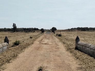 Rustikales Grundstück zum Verkauf in La Hacienda - Nueva Andalucía