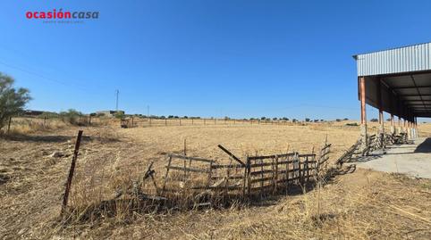 Foto 2 de Finca rústica en venda a El Guijo, Córdoba