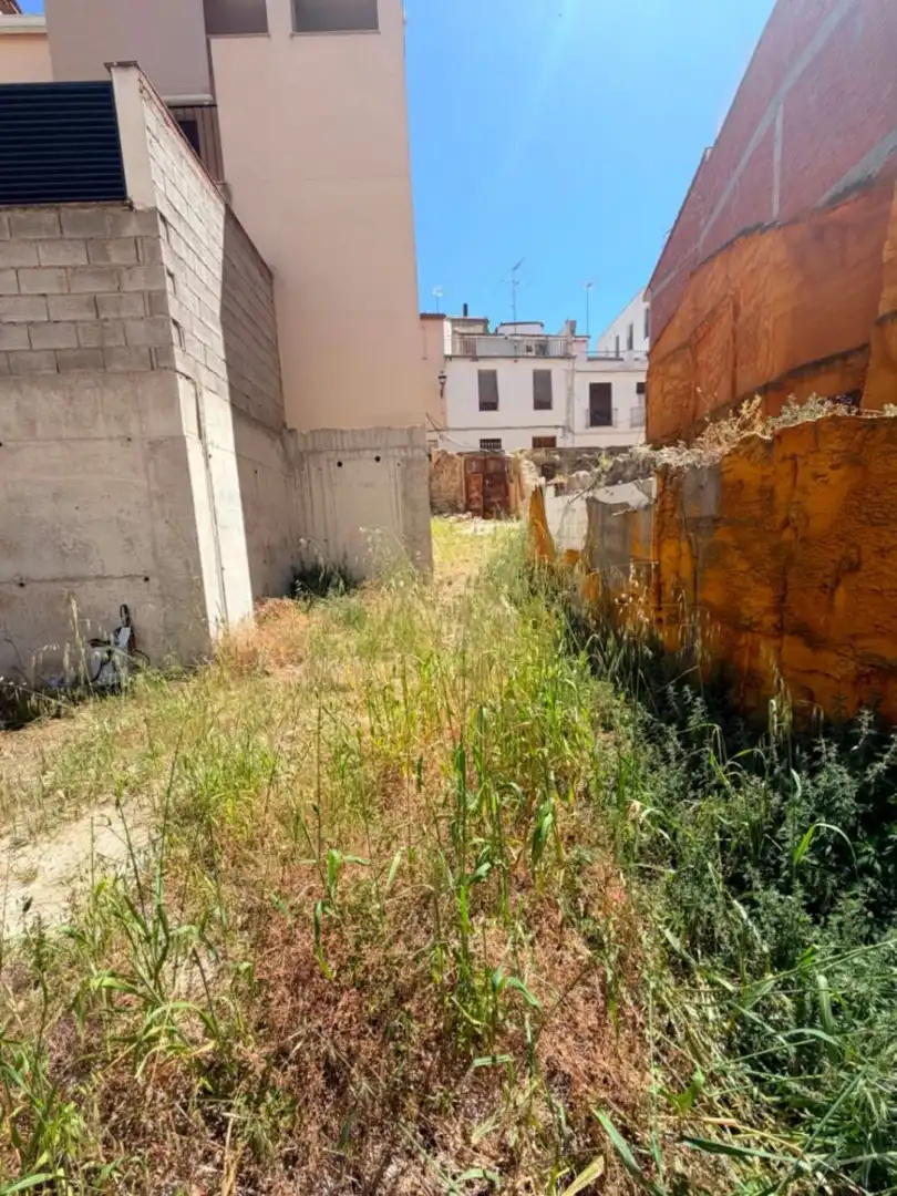 Terreni e lotti in vendita a Albaida