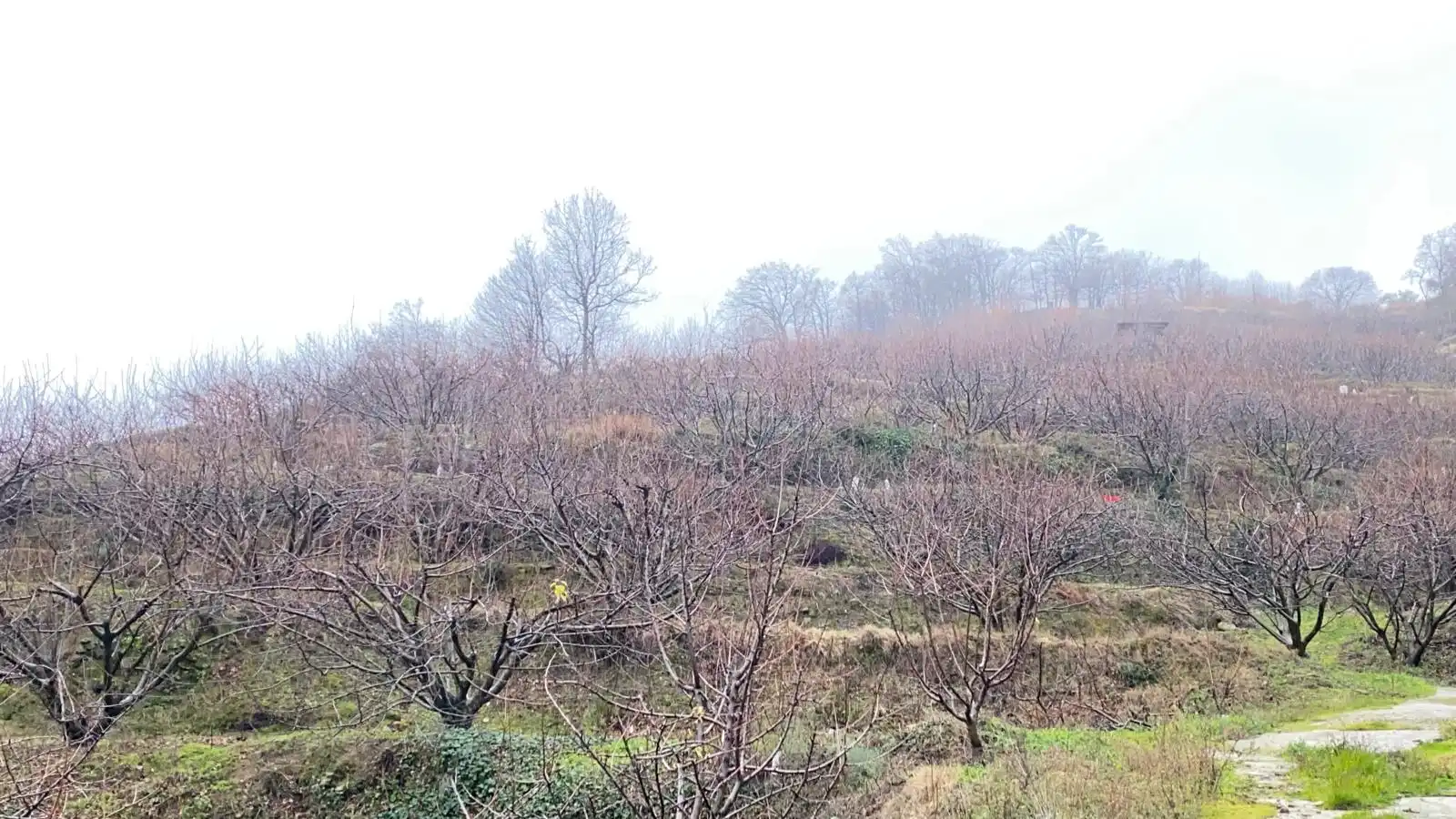 Terreni e lotti in vendita a Arroyomolinos de la Vera, imagen 14