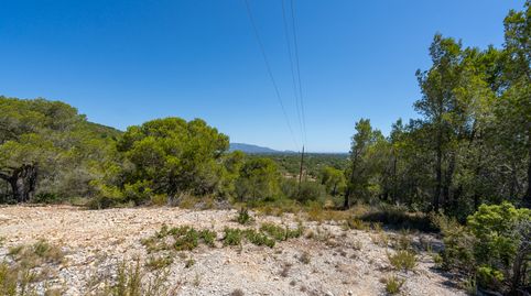 Foto 2 de Terreno en venta en Partida Carratillana, 24, Roques Daurades - L'Estany, L'Ametlla de Mar