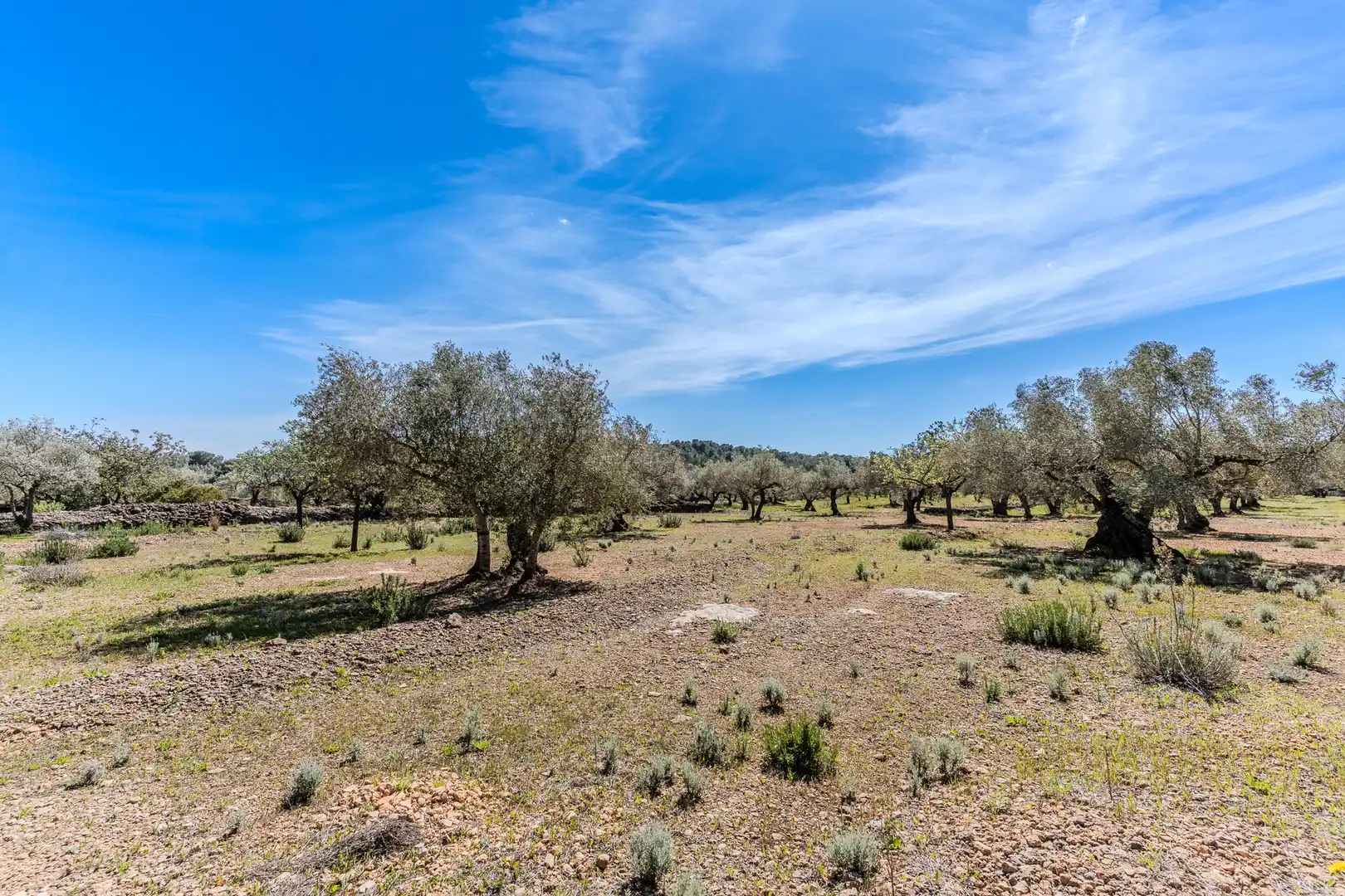 Land for sale in El Perelló