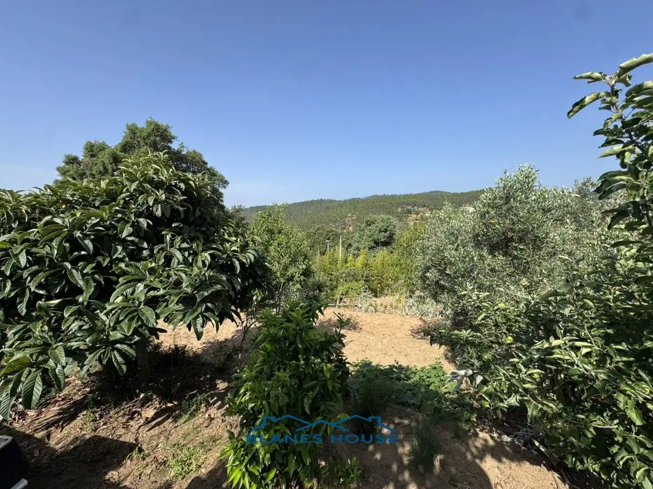 Houses for sale in Riudarenes  with Private garden and Terrace