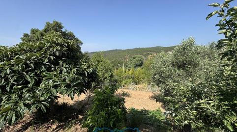 Foto 3 de Casa o chalet en venta en Avenida Argimont, Riudarenes, Girona