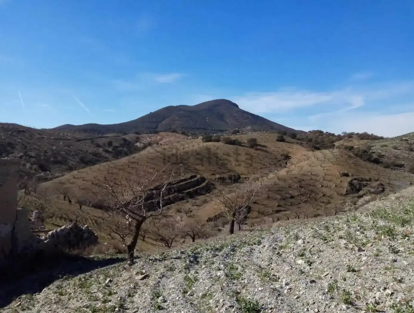 Terreny rústic en venda a Puerto Lumbreras, imagen 10