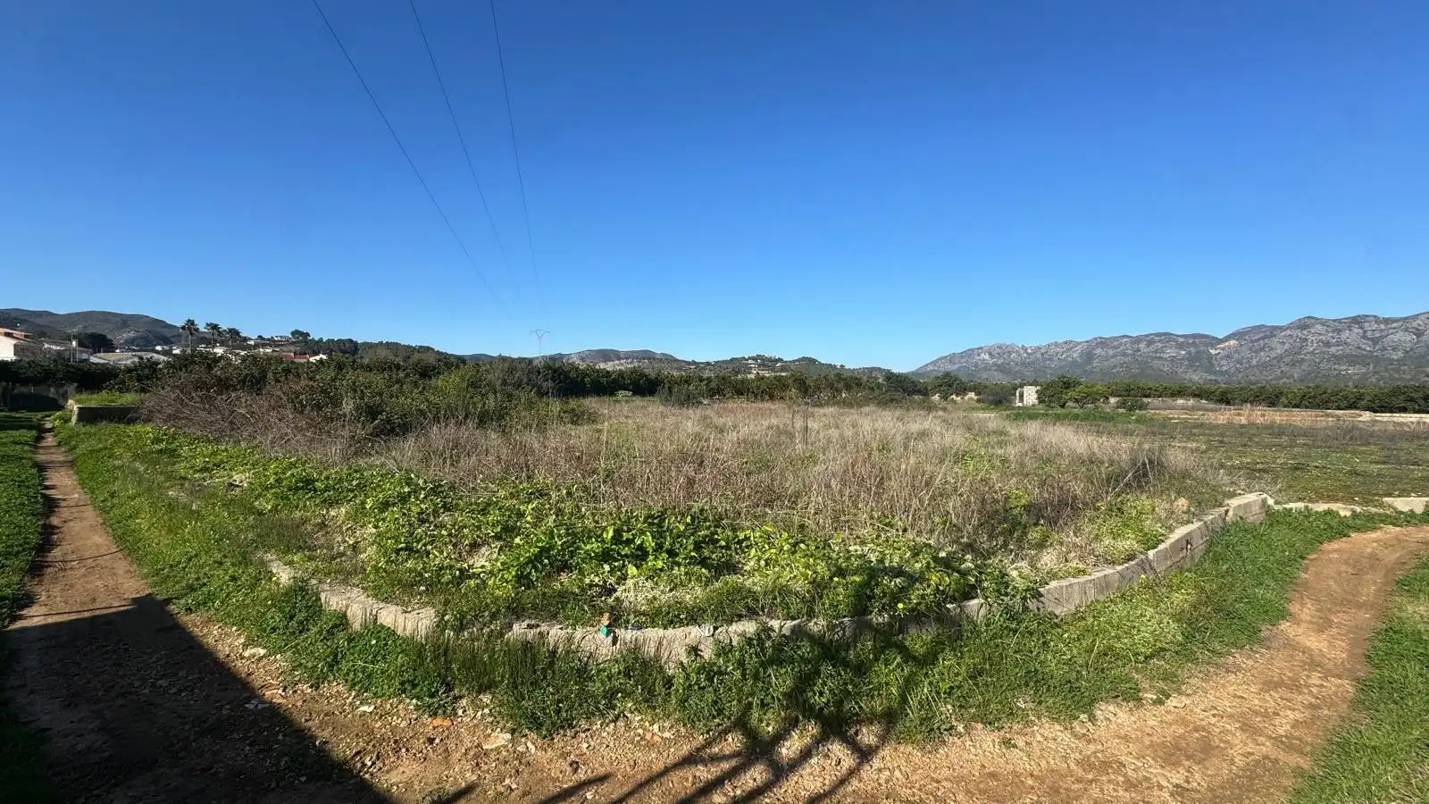 Finca rústica en venta en Simat de la Valldigna