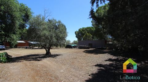 Foto 4 de Casa o xalet en venda a Villamiel de Toledo, Toledo