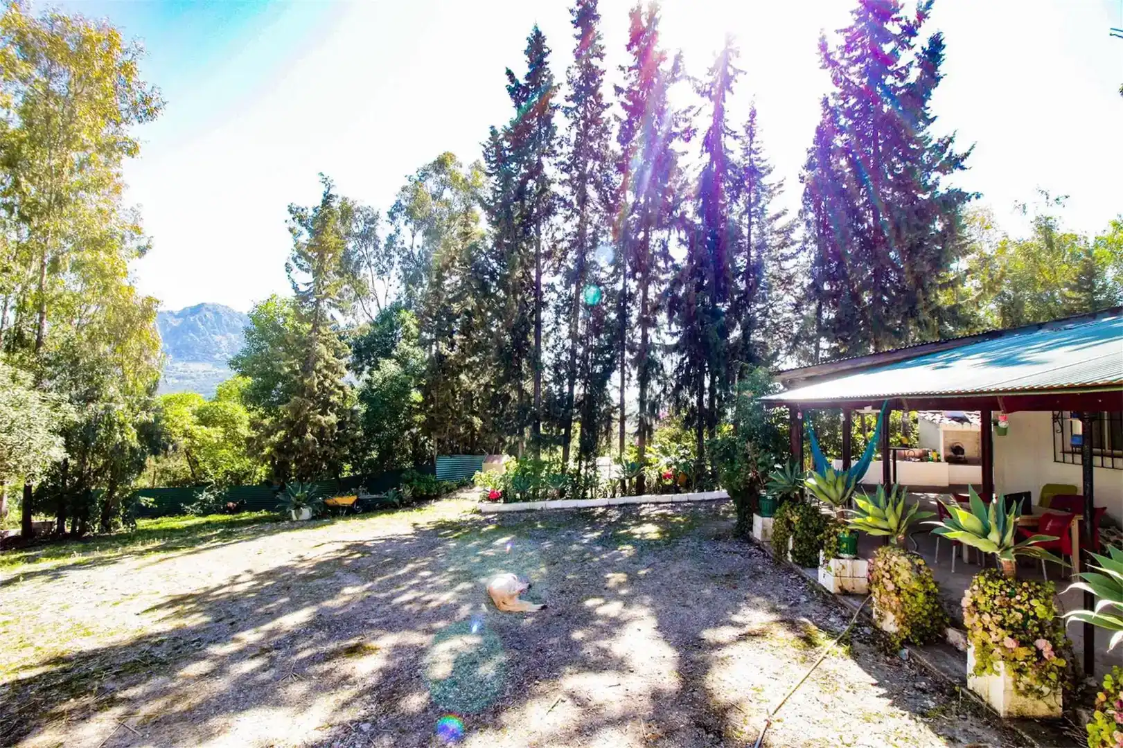 Jardí de Casa o xalet en venda en Gaucín amb Aire condicionat i Piscina