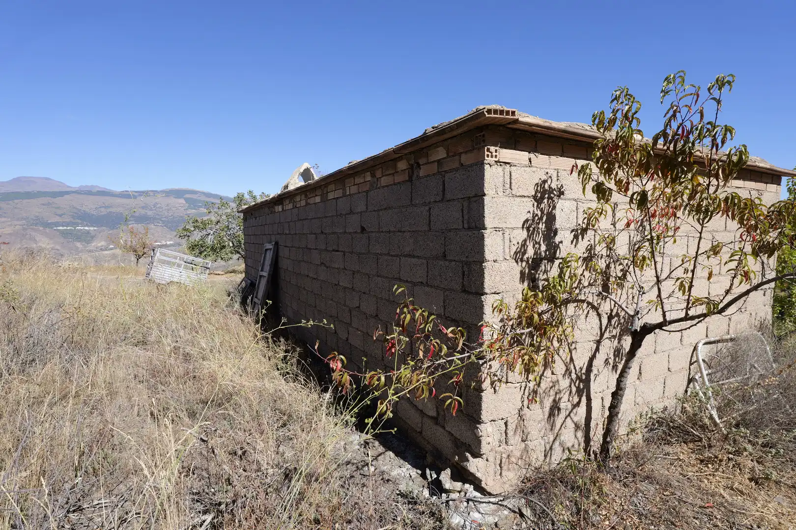 Vista exterior de Finca rústica en venta en Cádiar