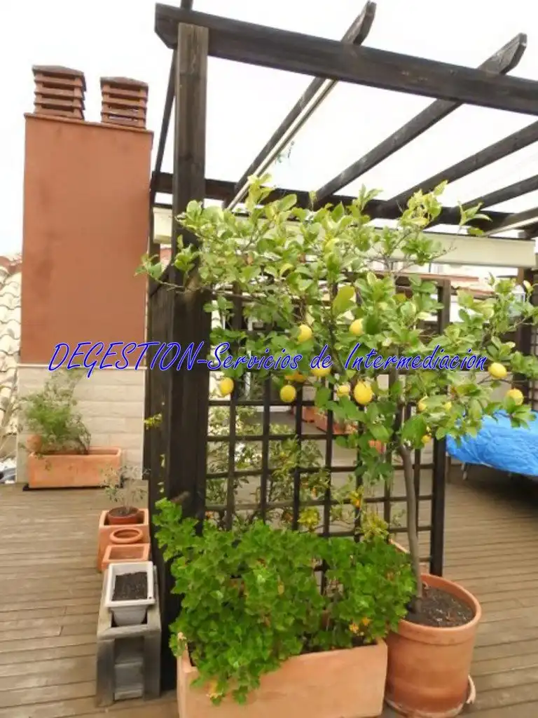Ático con terraza en venta en Centro ciudad, imagen 4