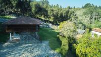 Garden of Country house for sale in Ribadesella