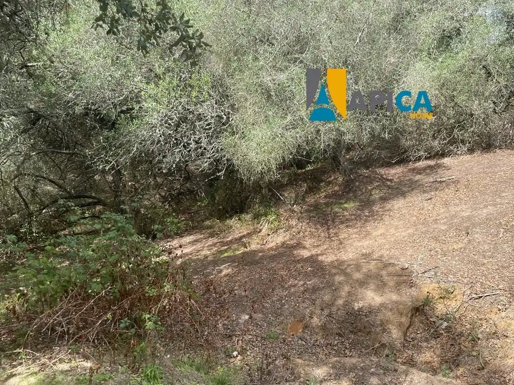 Terreni e lotti in vendita a Vejer, imagen 17