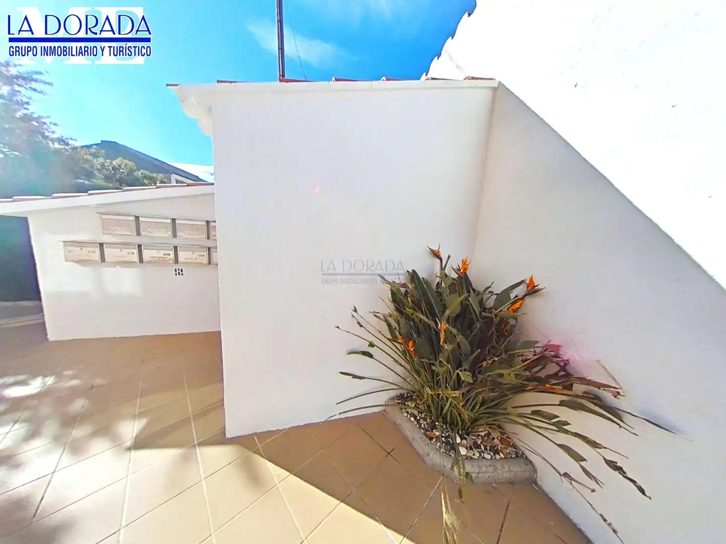 Vista exterior de Piso en venta en Mont-roig del Camp con Trastero, Amueblado y Balcón