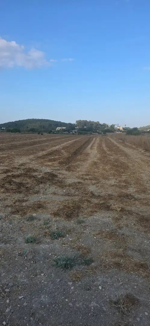 Terreno rustico in vendita a Montuïri, imagen 4