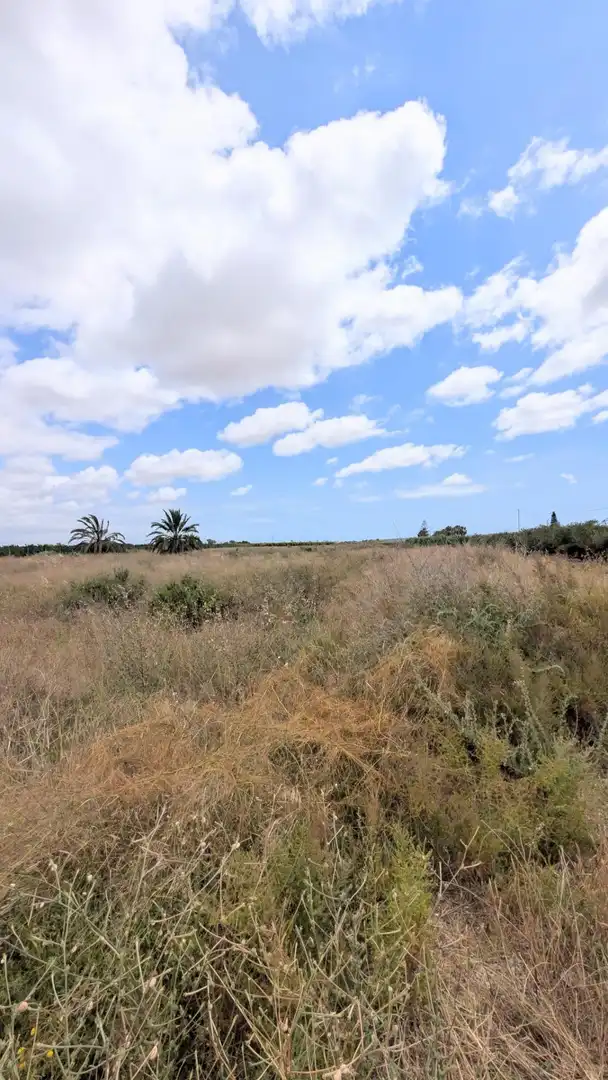 Terrain rustique à vendre à Las Bayas, imagen 3