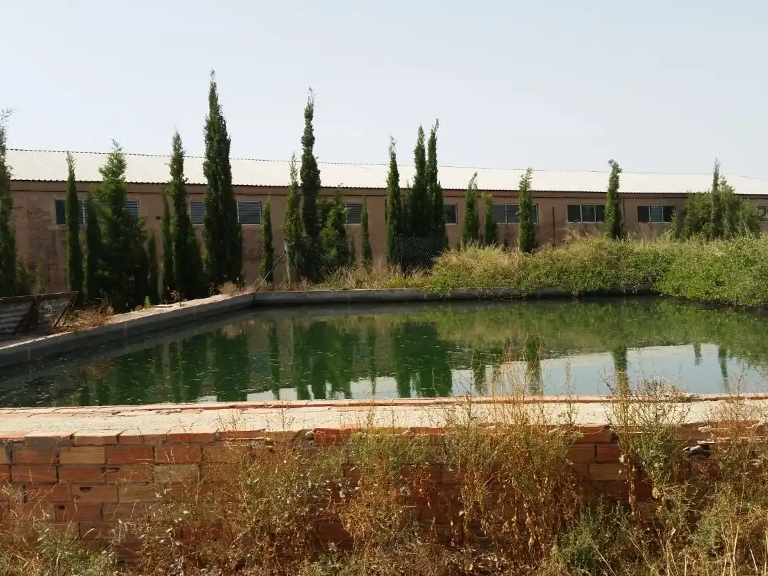 Piscina de Terreno industrial en venta en Agost