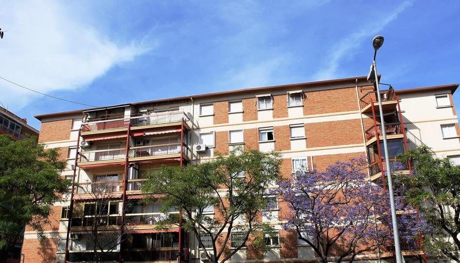 Photo 1 of Flat to rent in  Ingeniero Canales, 41, Pla de Bon Repós, Alicante