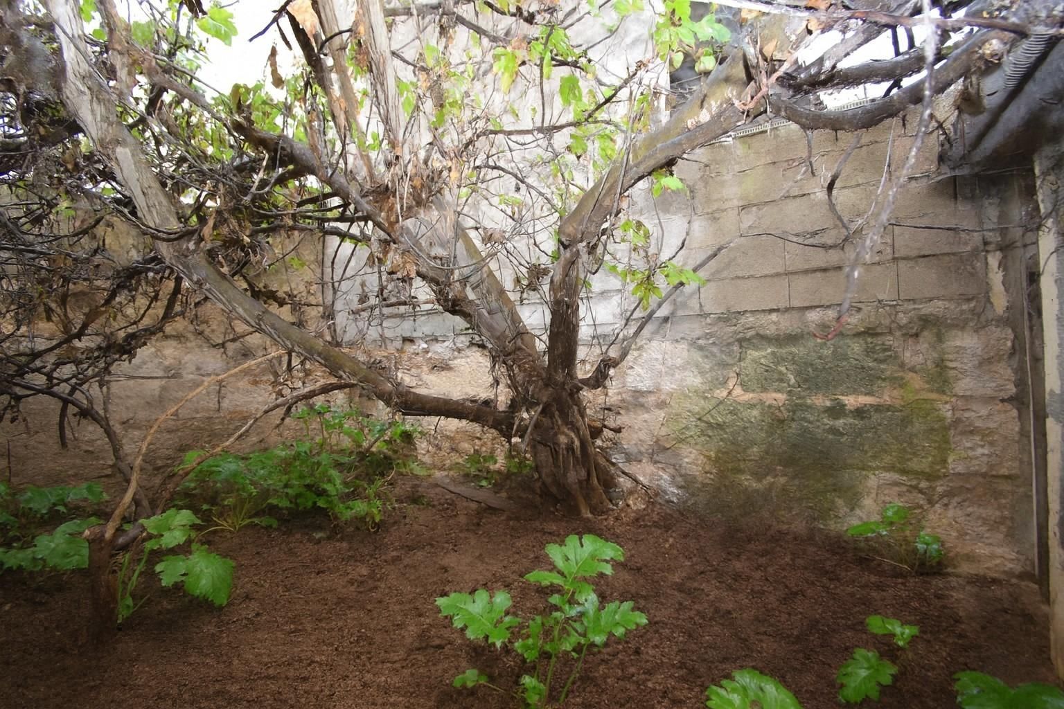 Jardín de Casa o chalet en venta en Muro con Jardín privado y Terraza