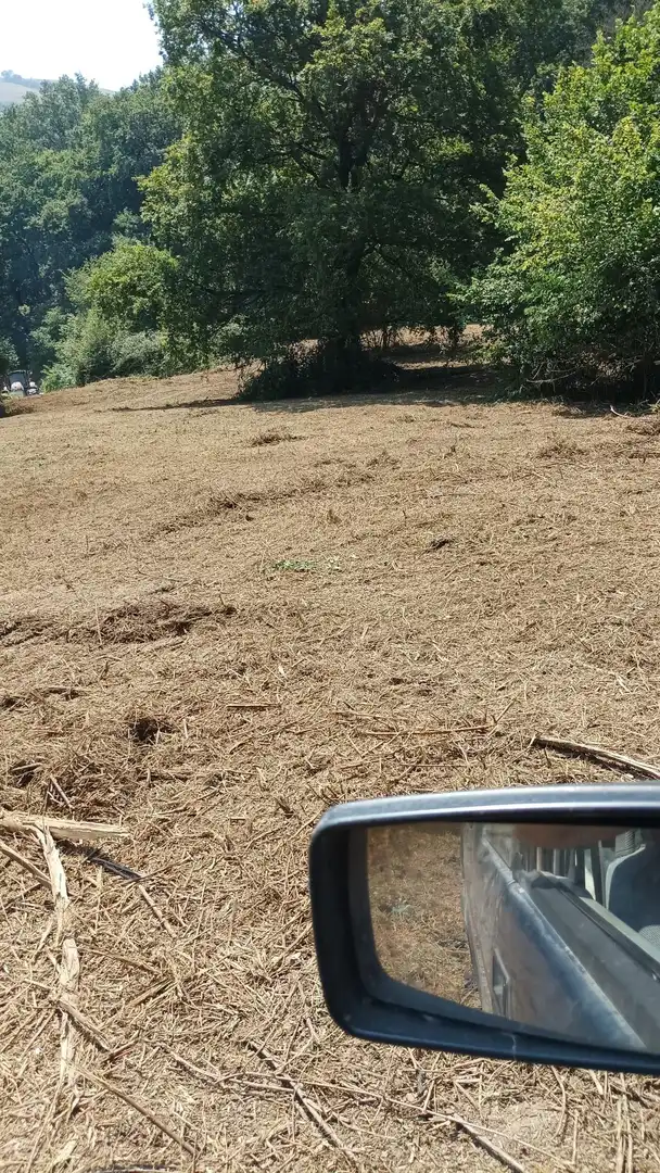 Terreno residenziale in vendita a Karrantza Harana/Valle de Carranza, imagen 2