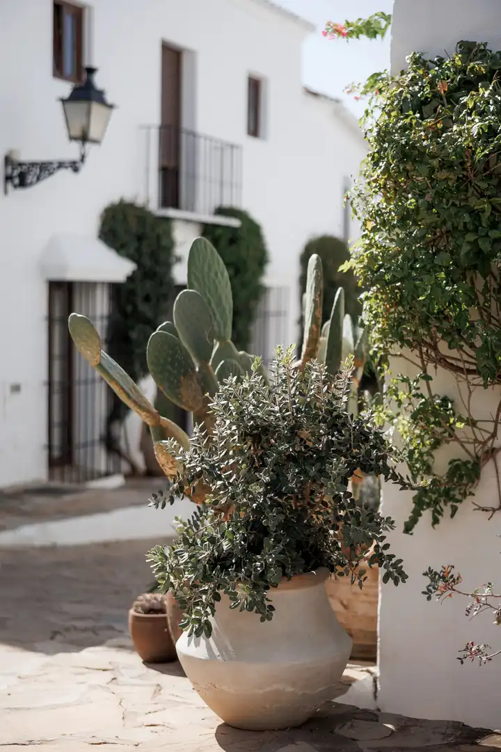 Adosado con piscina en venta en Nueva Andalucía, imagen 11