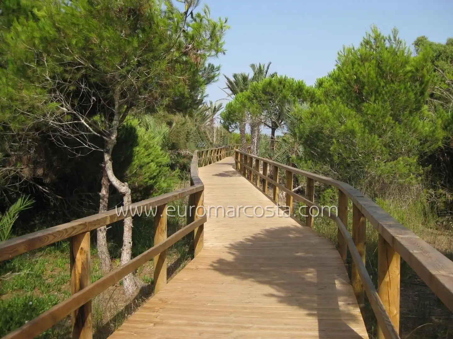 Piso con ascensor en venta en Carrer Arenes, imagen 31
