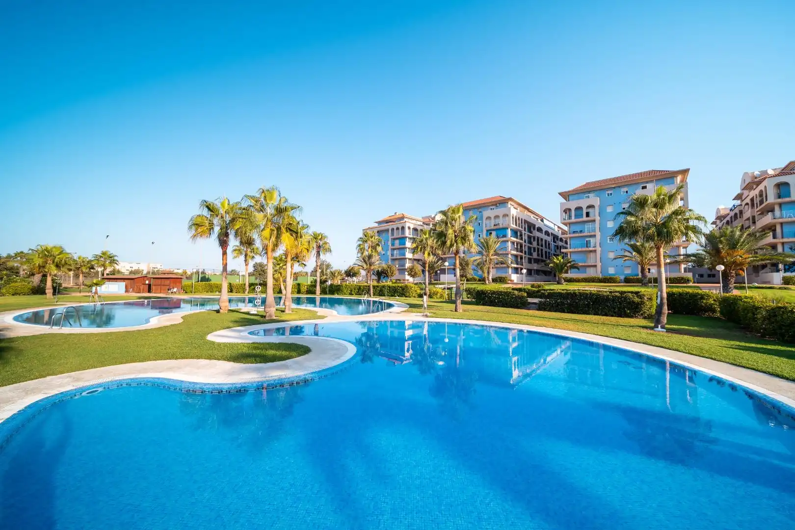 Swimming pool of Commercial properties for sale in El Ejido