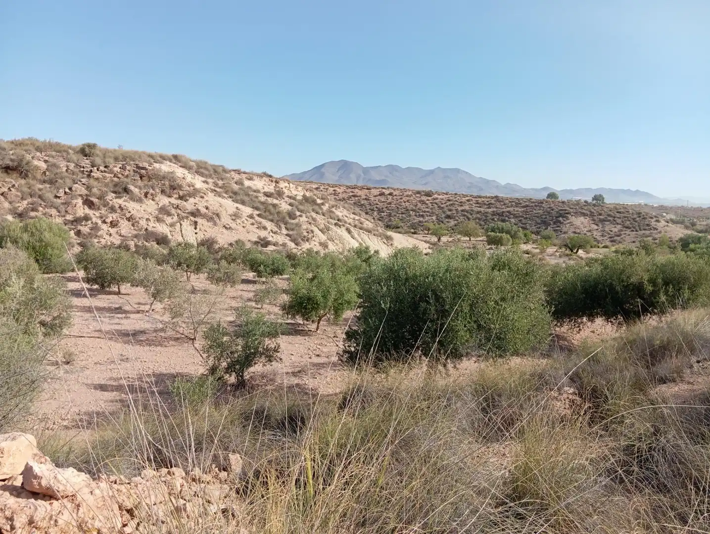 Casa rústica en venda a Cuevas del Almanzora pueblo, imagen 11