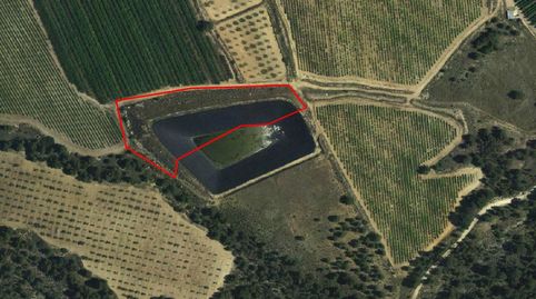 Solvia Inmobiliaria  Suelo Rústico Jumilla, immagine 5