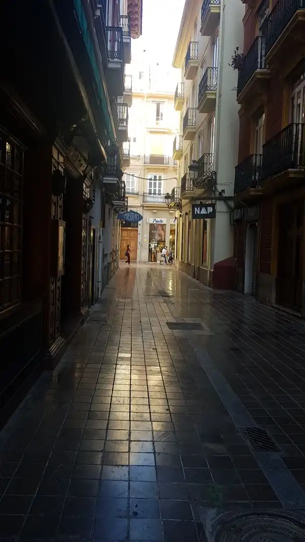Pis de lloguer a Don Juan de Austria, Sant Francesc