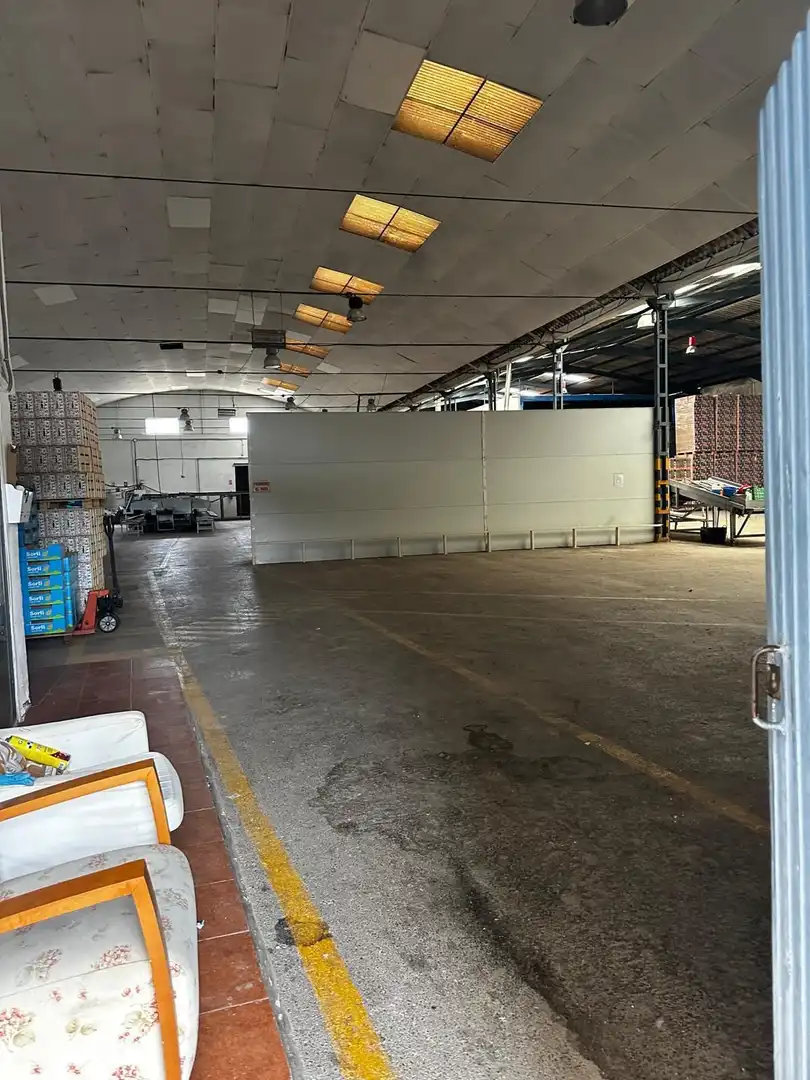Nave industrial en venta en Calle Vereda de las Palmeras, imagen 12
