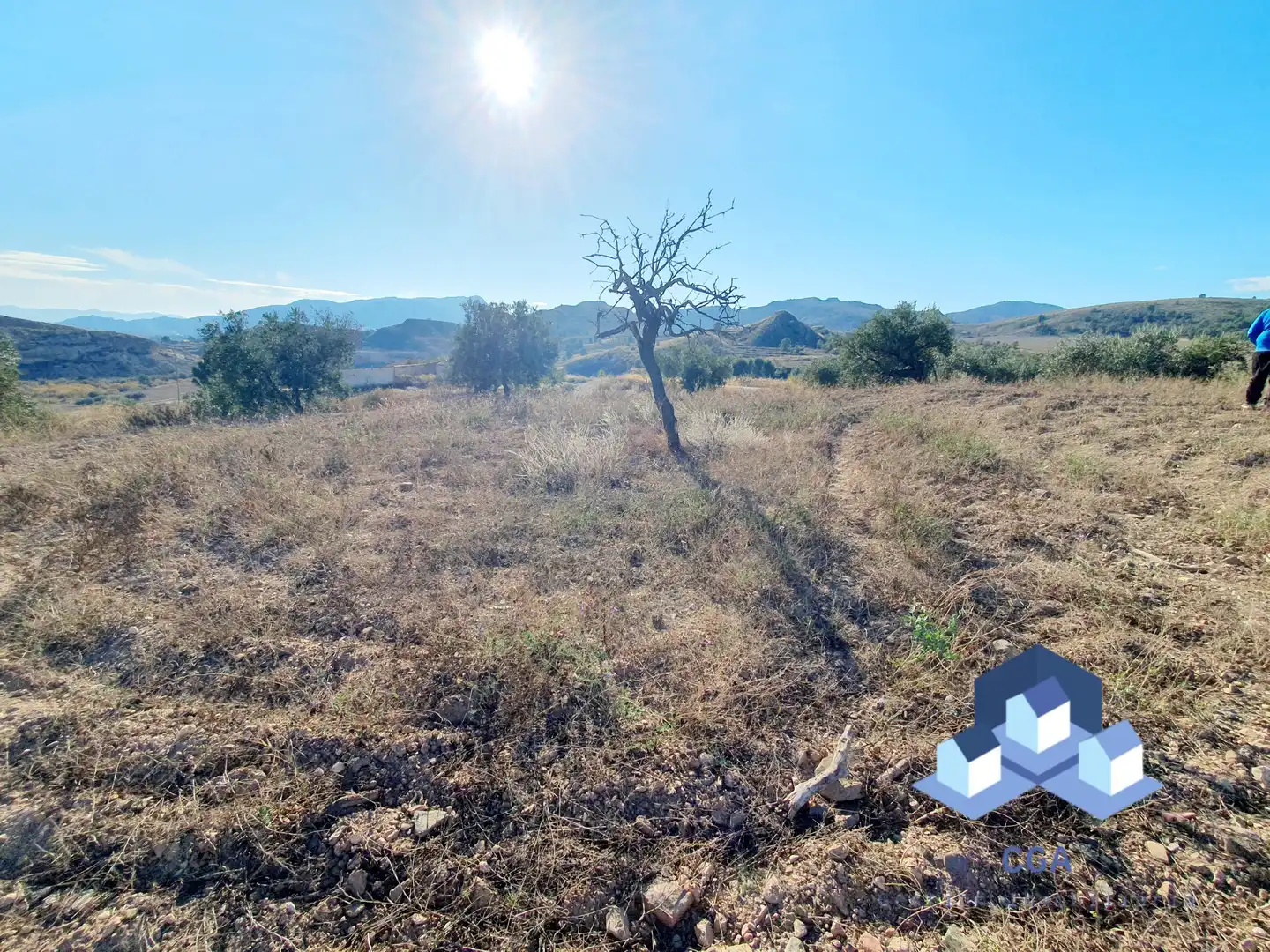 Country homes for sale in Lorca