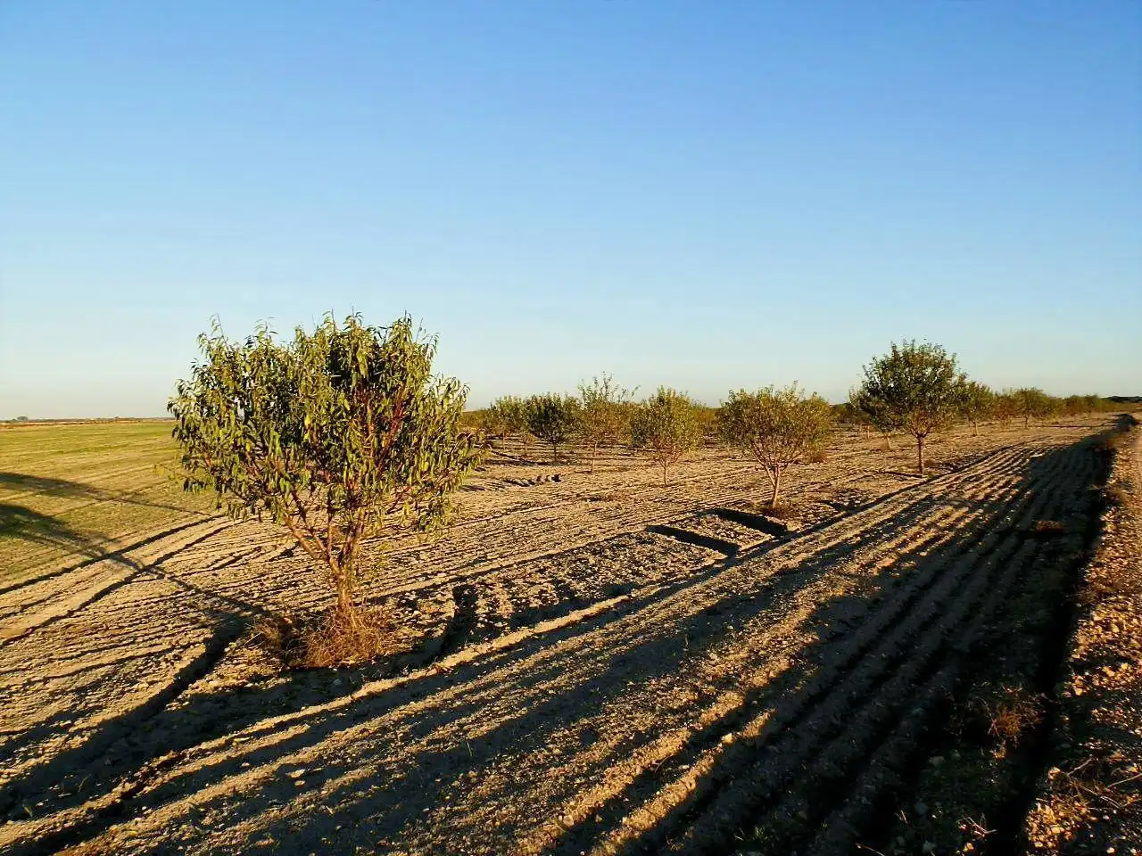Terreni e lotti in vendita a Las Mesas, imagen 14