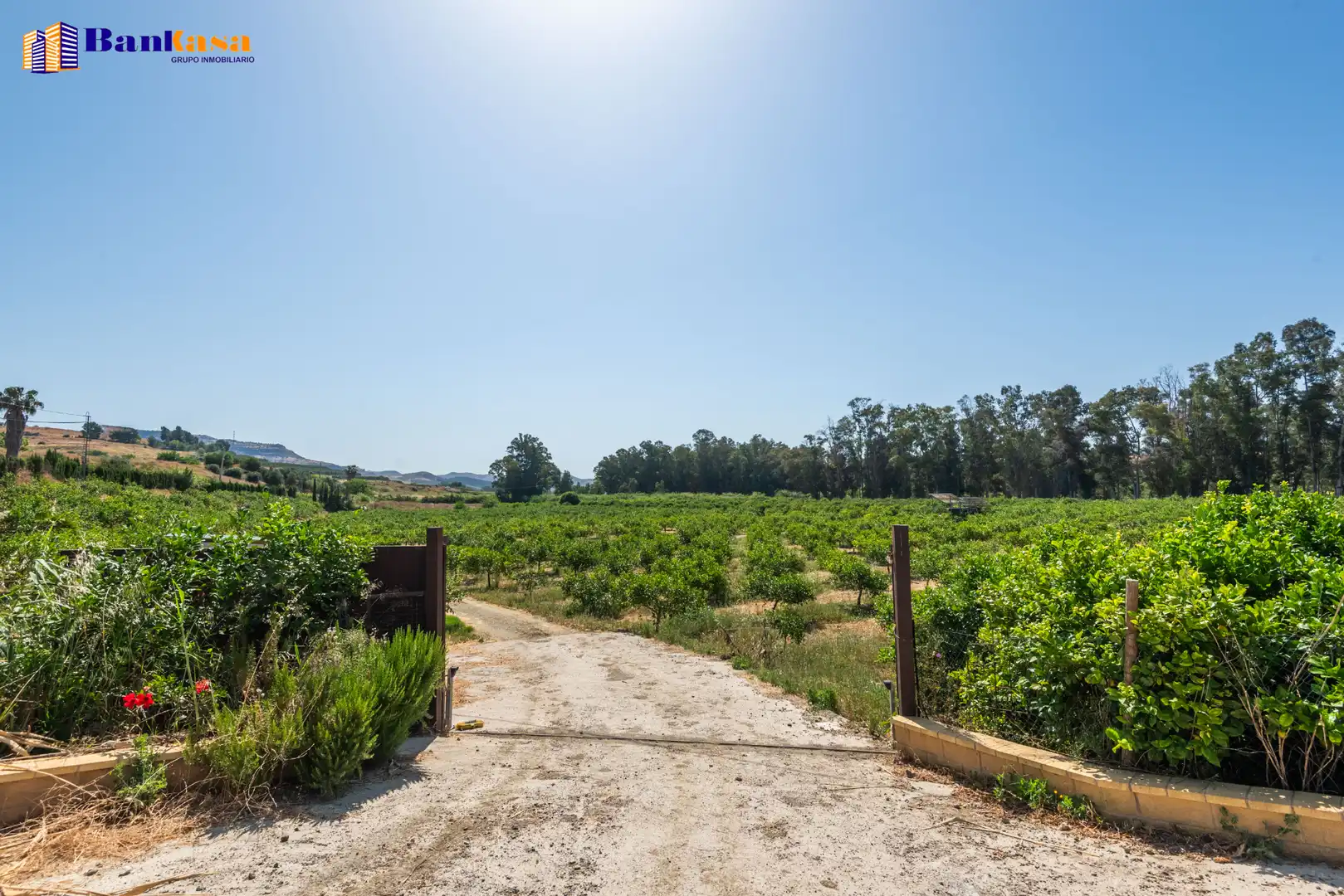Terreno en venta en Pizarra