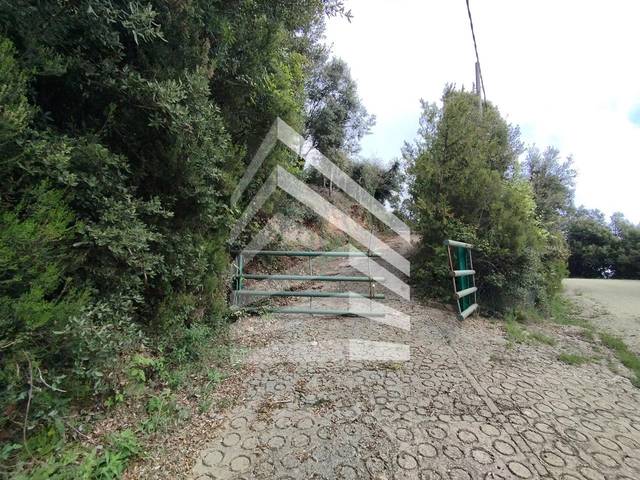 Casa-chalet en Venta en Barri el Coll en Susqueda