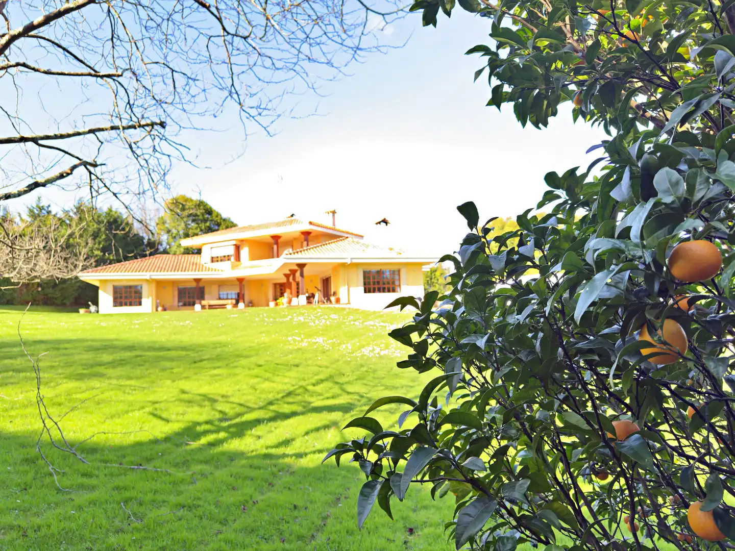 Jardí de Casa o xalet en venda en Gijón  amb Calefacció, Parquet i Terrassa