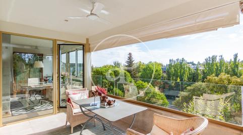 Photo 4 of Flat to rent in C. de la Dalia, El Soto de la Moraleja, Madrid