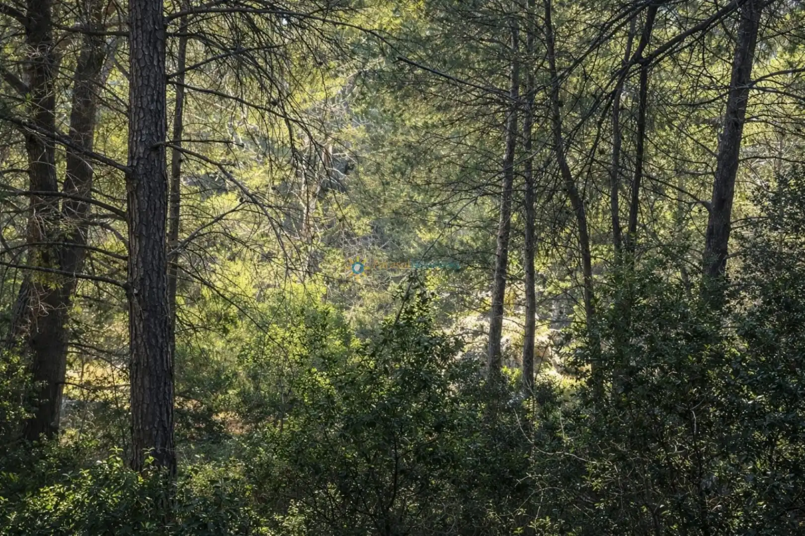 Finca rústica en venda en Muro de Alcoy amb Jardí privat, Terrassa i Traster