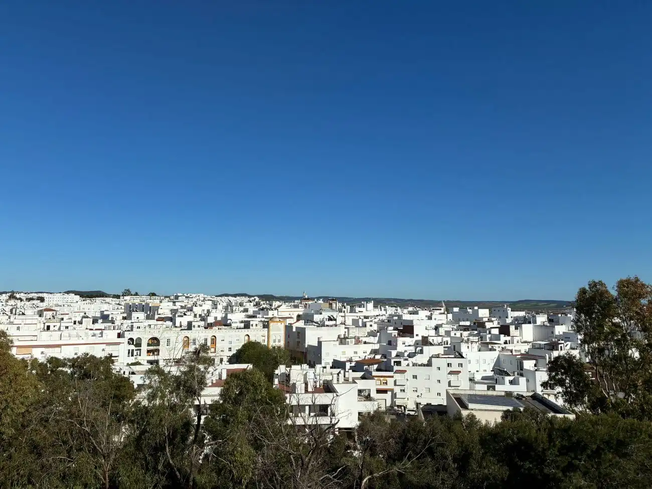 Vista exterior de Apartamento en venta en Conil de la Frontera con Terraza