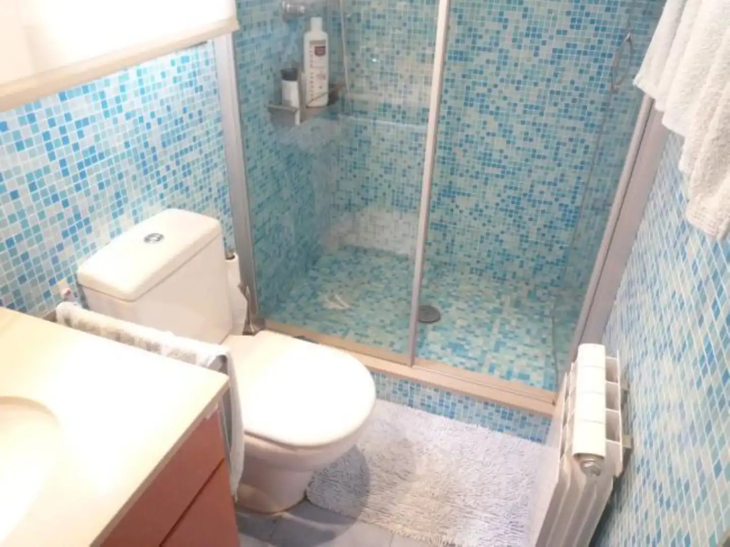 Baño de Planta baja de alquiler en Sant Cugat del Vallès con Calefacción, Jardín privado y Parquet