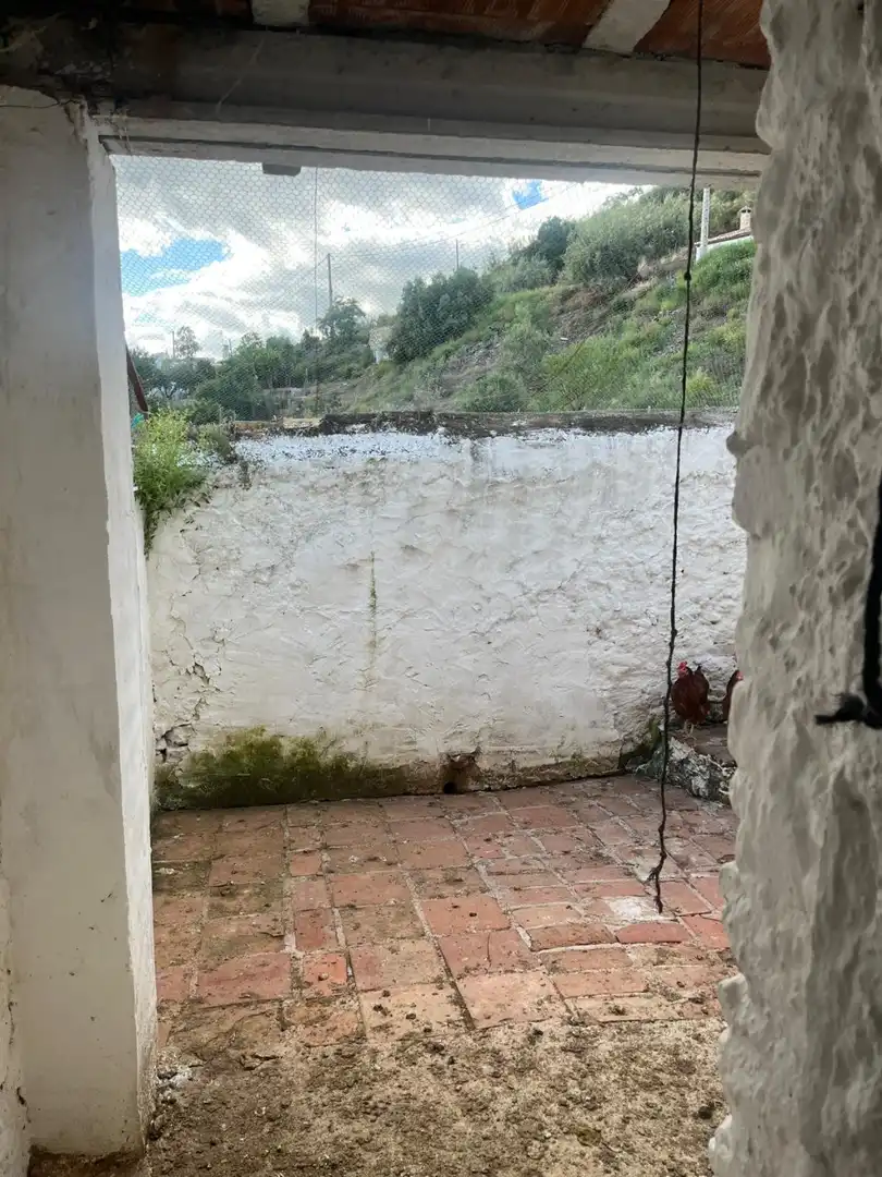 Jardín de Finca rústica en venta en Canillas de Aceituno con Terraza
