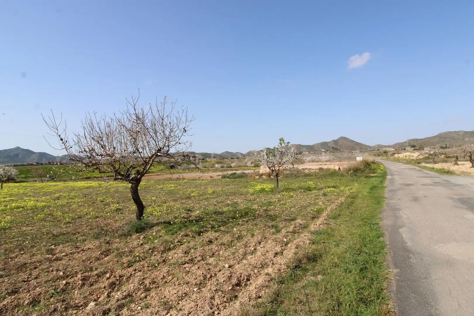 Grundstücke und Bauplätze zum Verkauf in Oria, imagen 3