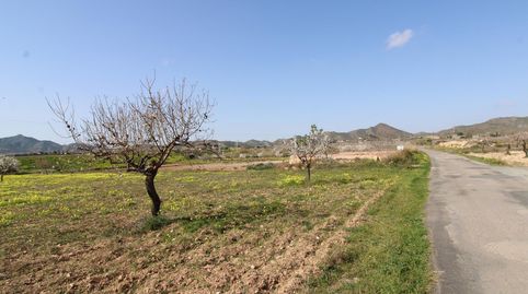 Immagine 3 dell'annuncio