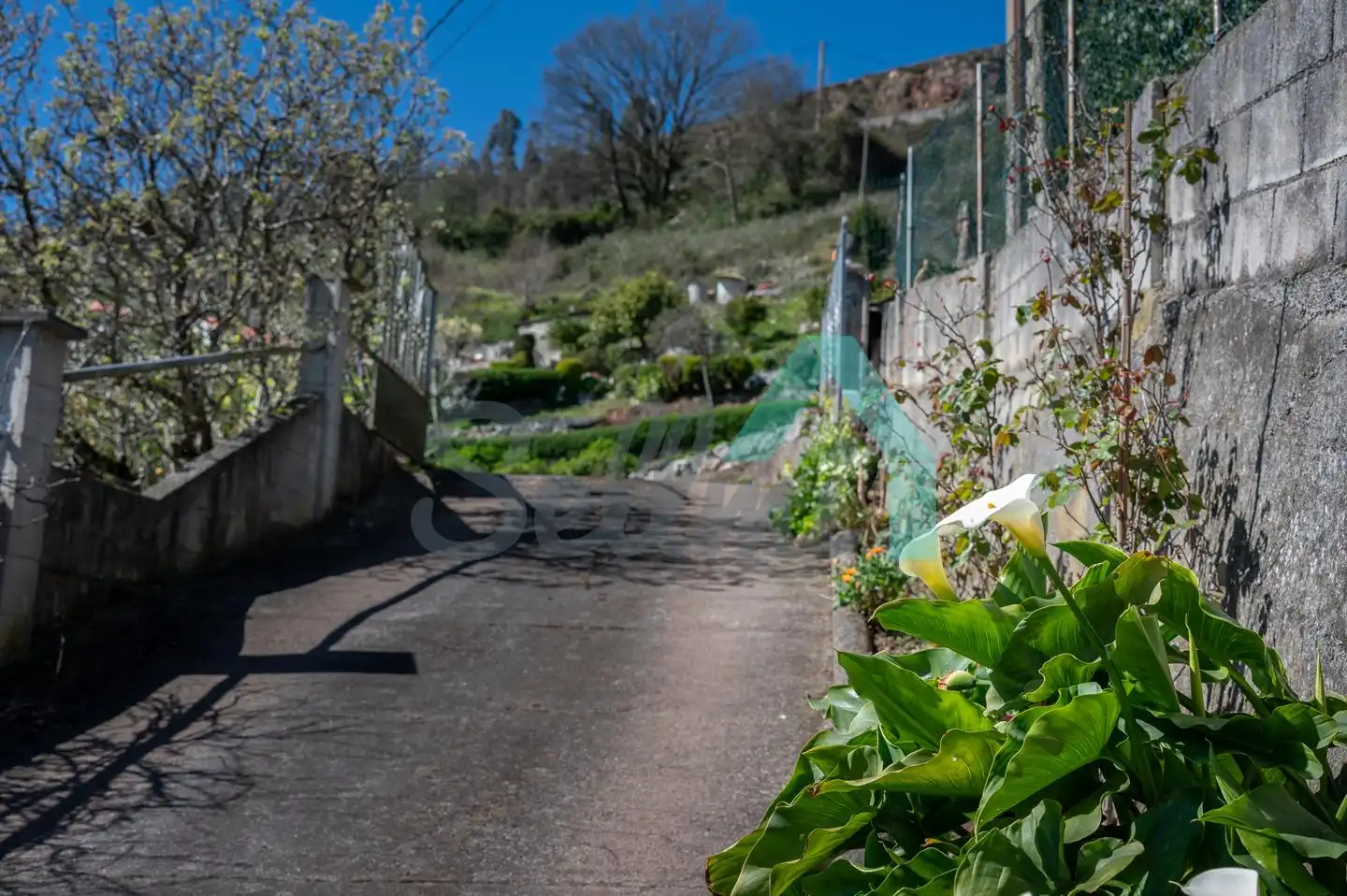 Vista exterior de Casa o xalet en venda en Oviedo  amb Jardí privat, Terrassa i Traster