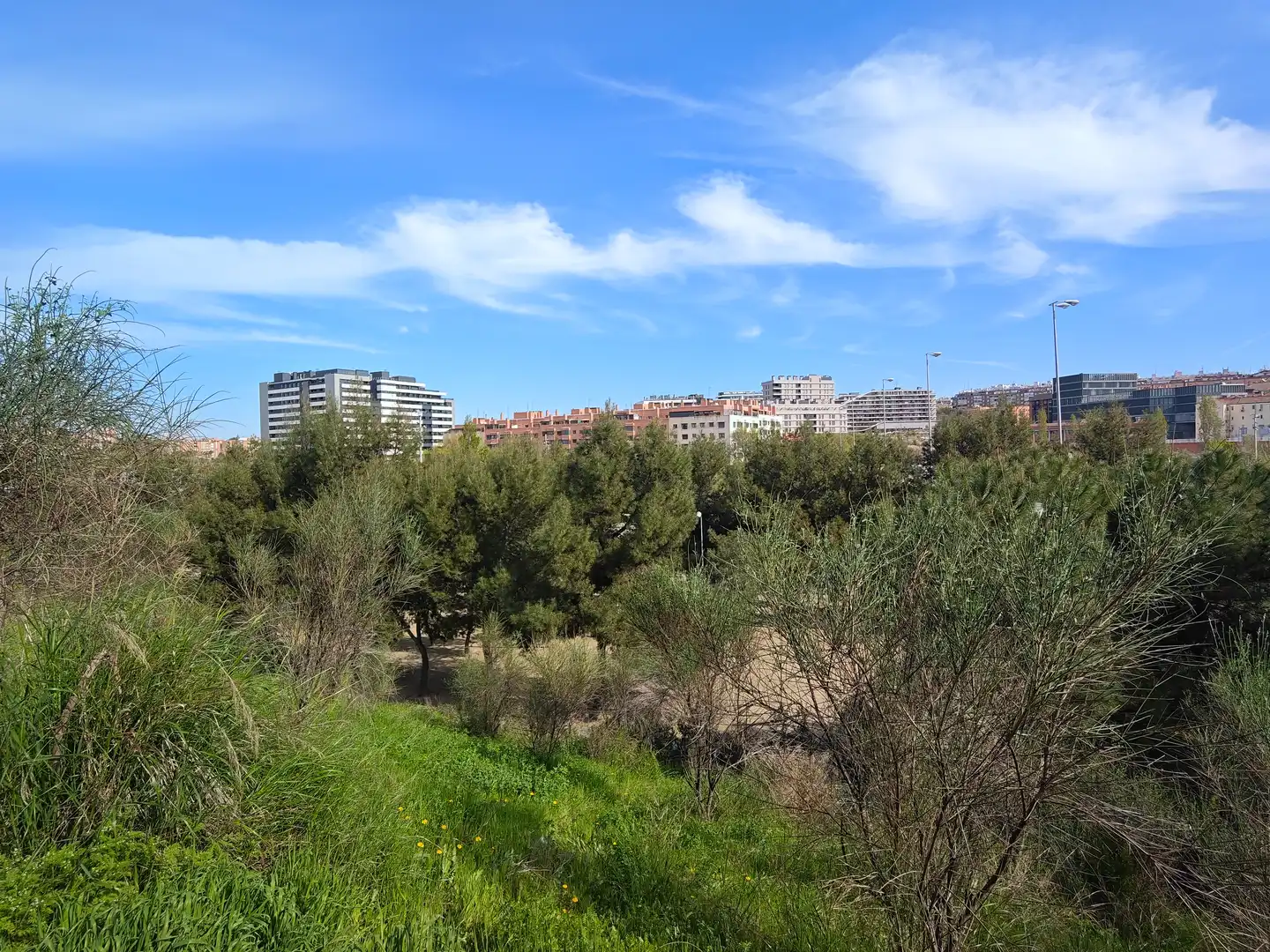 Vista exterior de Piso de alquiler en Madrid con Amueblado y Se aceptan mascotas